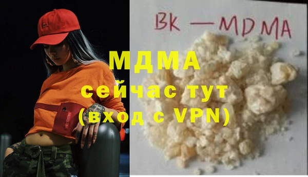 индика Алзамай