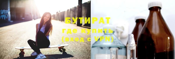 индика Алзамай