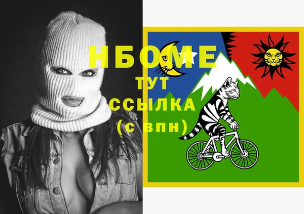 индика Алзамай