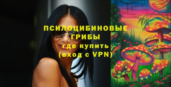 индика Алзамай